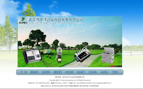 武漢網(wǎng)站設(shè)計(jì)項(xiàng)目 武漢市中洋興業(yè)科技發(fā)展網(wǎng)站開通