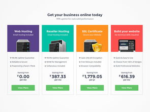 40個網(wǎng)頁價格表單設(shè)計欣賞